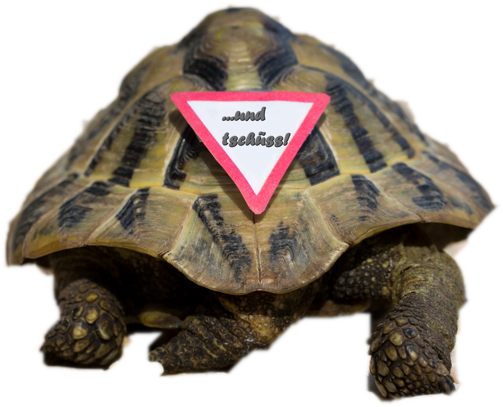 tschuess_Schildkrotte
